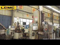 Excavatrice Spare Parts de LGMC